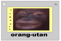 Anzeige auf 150 % gedehnt